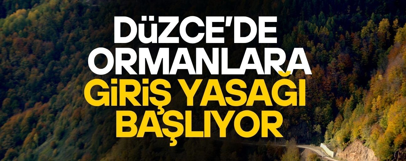 DÜZCE’DE PİKNİK YAPILMASINA İZİN VERİLEN BÖLGELER DUYURULDU