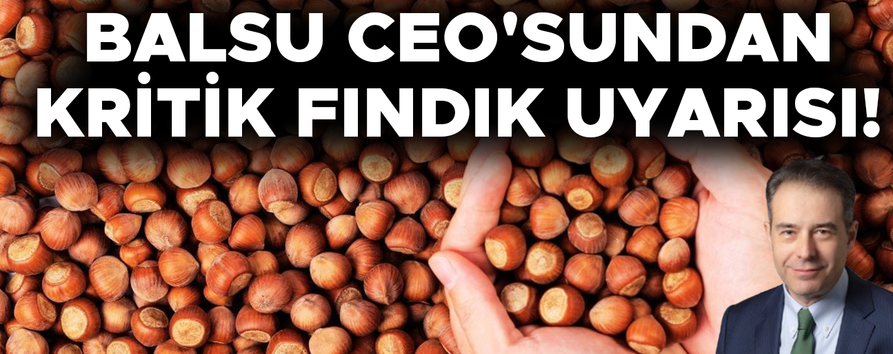 "ŞİLİ VE ABD TÜRKİYE'NİN İHRACATINI ETKİLEYEBİLECEK DÜZEYDE FINDIK ÜRETİYOR"