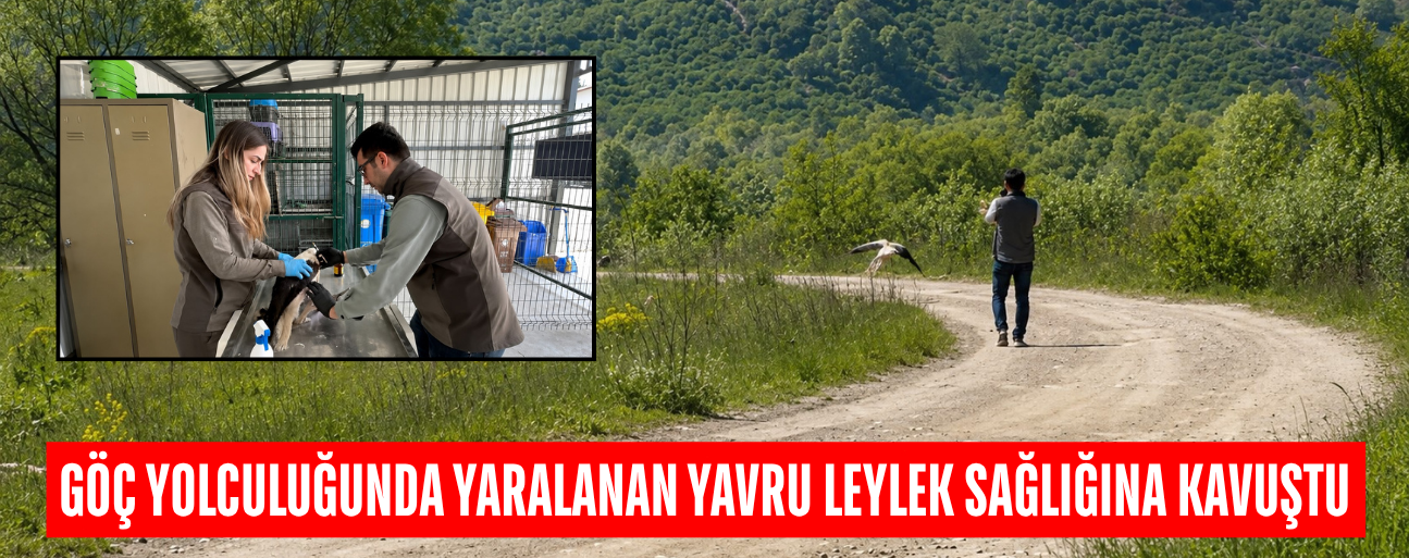 YAVRU LEYLEK SAĞLIĞINA KAVUŞTU
