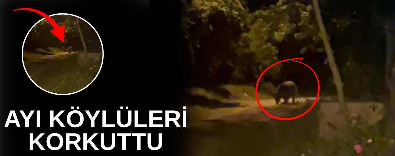 KÖYE İNEN AYI KÖYLÜLERE HEYECAN VE KORKU YAŞATTI