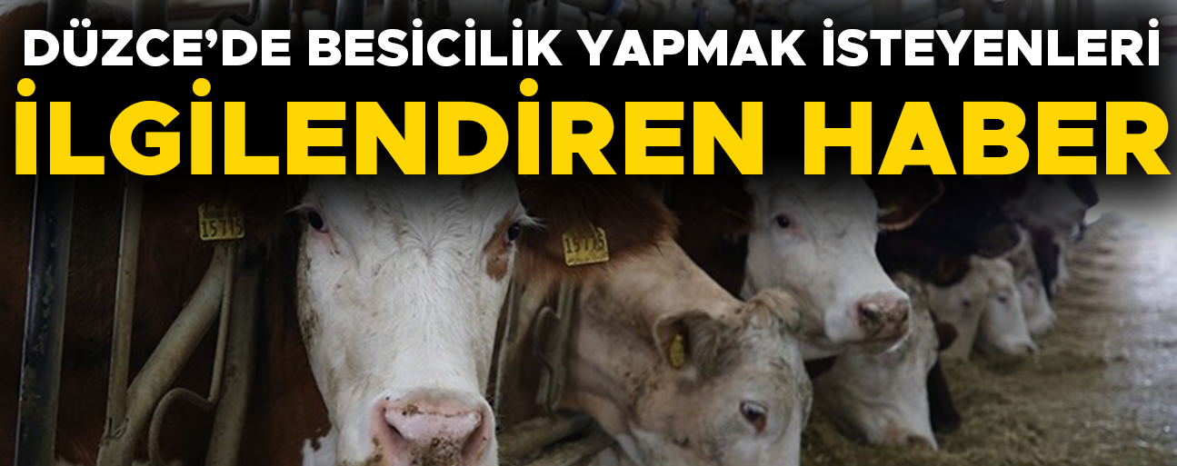 BAKAN YUMAKLI MÜJDELİ HABERİ VERDİ