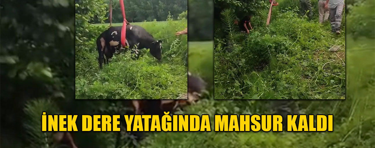 VİNÇ YARDIMIYLA KURTARILDI