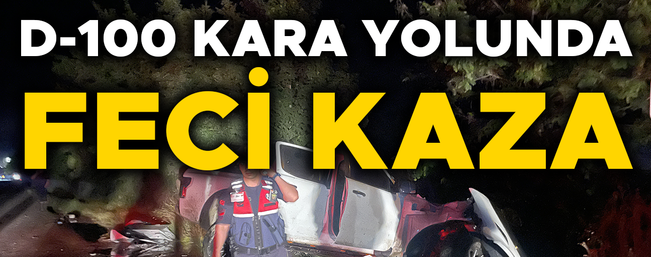 KAMYONET TIRA ÇARPTI: 3 YARALI