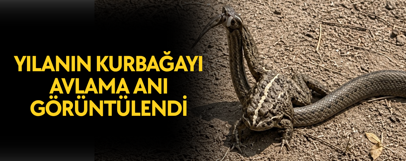 BELGESEL TADINDAKİ DOĞAL GÖRÜNTÜLER KAMERAYA YANSIDI