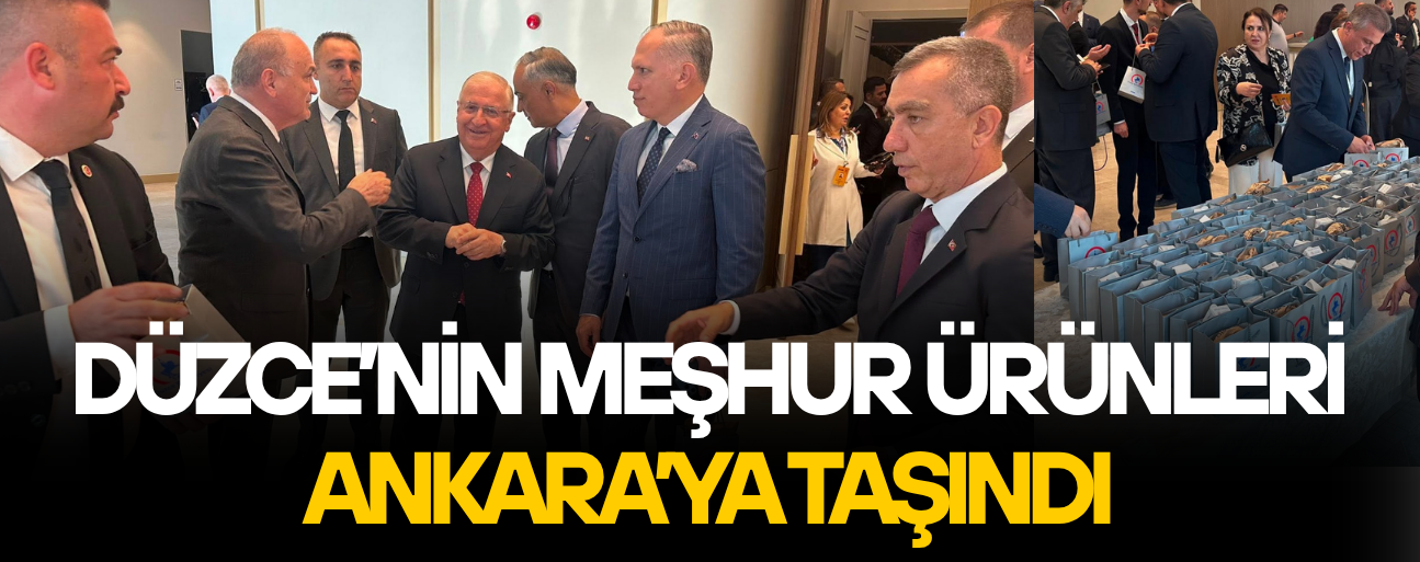 BAŞKAN ÖZLÜ DÜZCE’Yİ 80 İLE TANITTI
