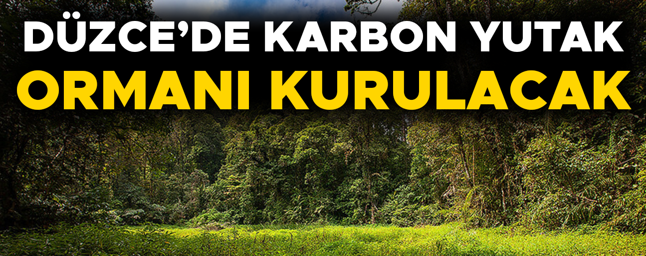 KARAR RESMİ GAZETE’DE YAYIMLANARAK YÜRÜRLÜĞE GİRDİ