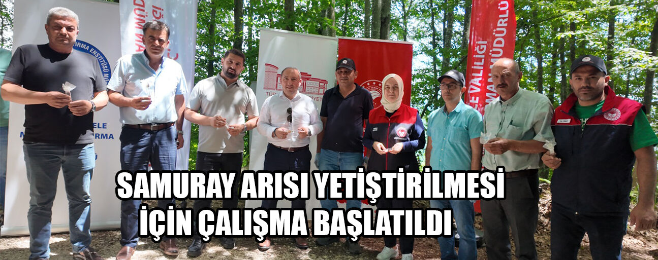 DÜZCE’DE ÇİFTÇİLERİN KABUSUNU SAMURAYLAR ÖNLEYECEK