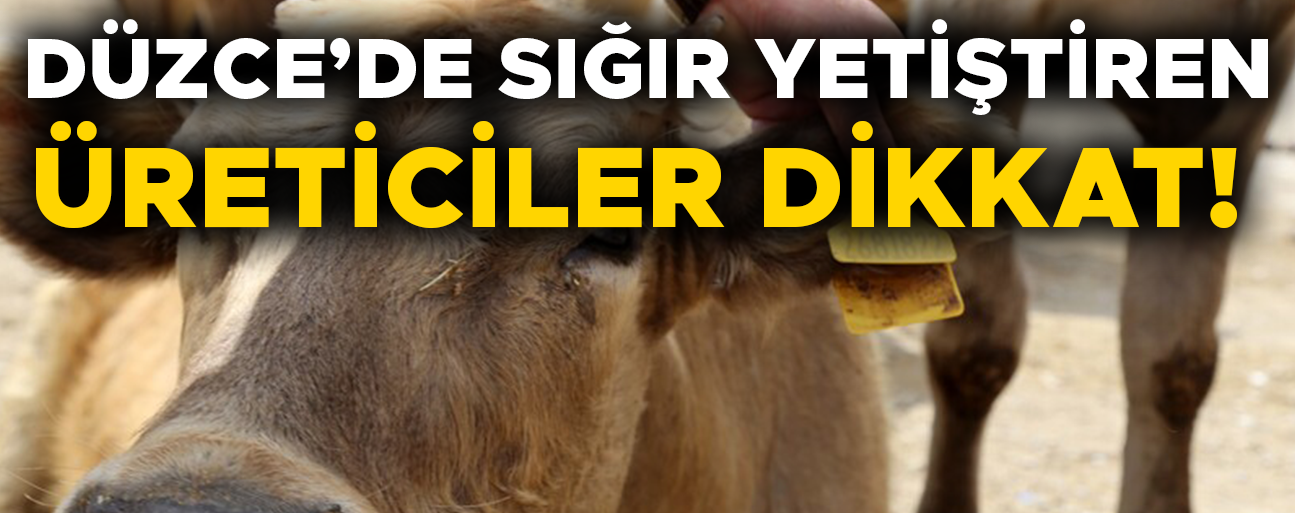 KULAK KÜPELERİNDE YENİ DÖNEM BAŞLADI