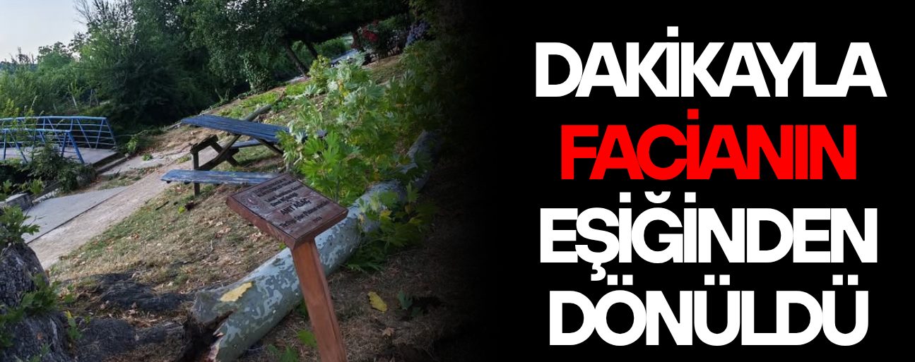 AKÇAKOCA’DA ASIRLIK ÇINARIN DALI PİKNİK MASASININ ÜZERİNE DÜŞTÜ
