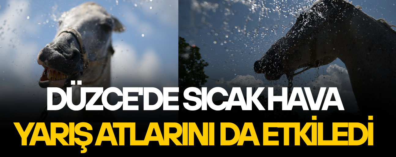 KAVURUCU SICAKTA YARIŞ ATLARI SOĞUK SUYLA SERİNLETİLİYOR