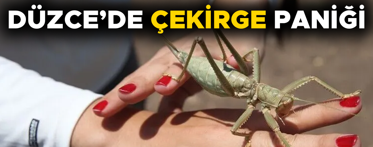 UZMANI AÇIKLAMA YAPTI…