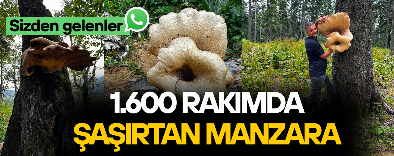 DÜZCE’DE DEV MANTARLA FOTOĞRAF ÇEKME YARIŞI