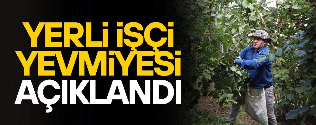 YERLİ FINDIK İŞÇİLERİNİN YEVMİYE FİYATI AÇIKLANDI