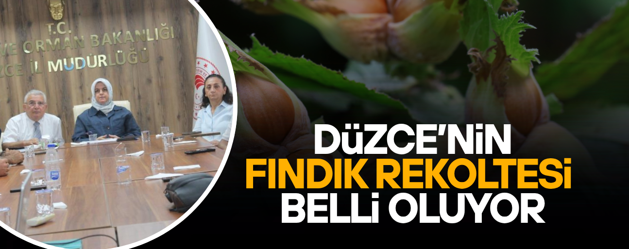 TAHMİNİ FINDIK REKOLTESİ BAKANLIK TARAFINDAN AÇIKLANACAK