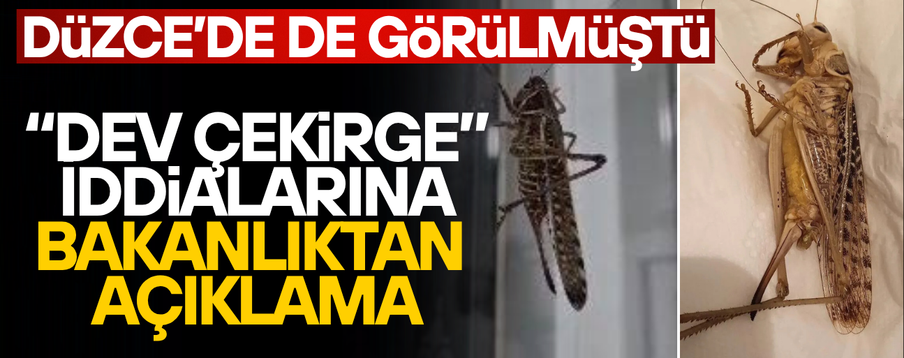 BAKANLIK DUYURDU: ÇEKİRGE İSTİLASI SÖZ KONUSU DEĞİL