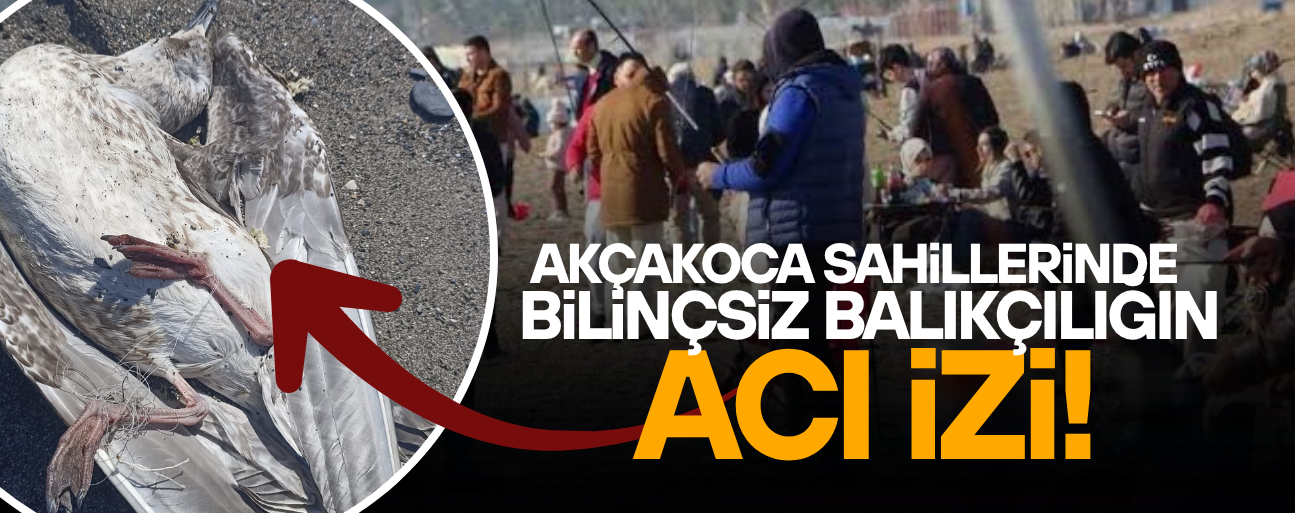 AMATÖR BALIKÇILIK ARTIYOR, KIYILARDAKİ TEHLİKE BÜYÜYOR