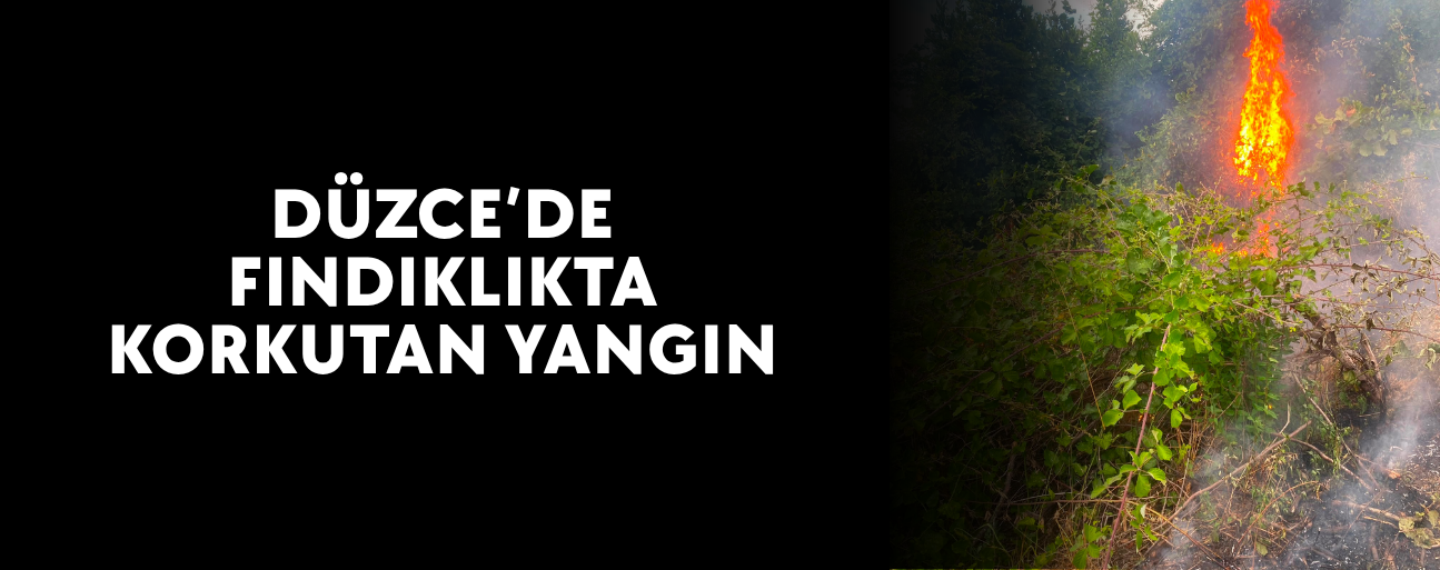 MUHTARIN ERKEN MÜDAHALESİ FACİAYI ÖNLEDİ