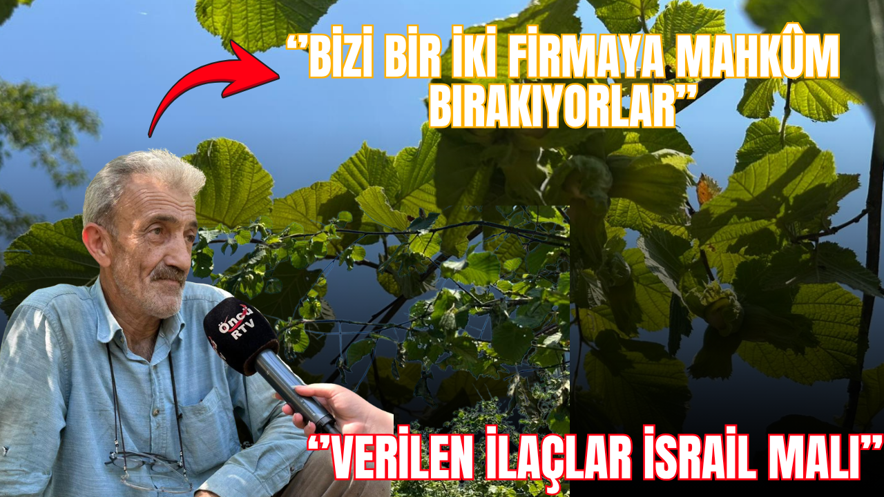 FINDIK ÜRETİCİLERİ ÖNCÜ HABER’E DERT YANDI