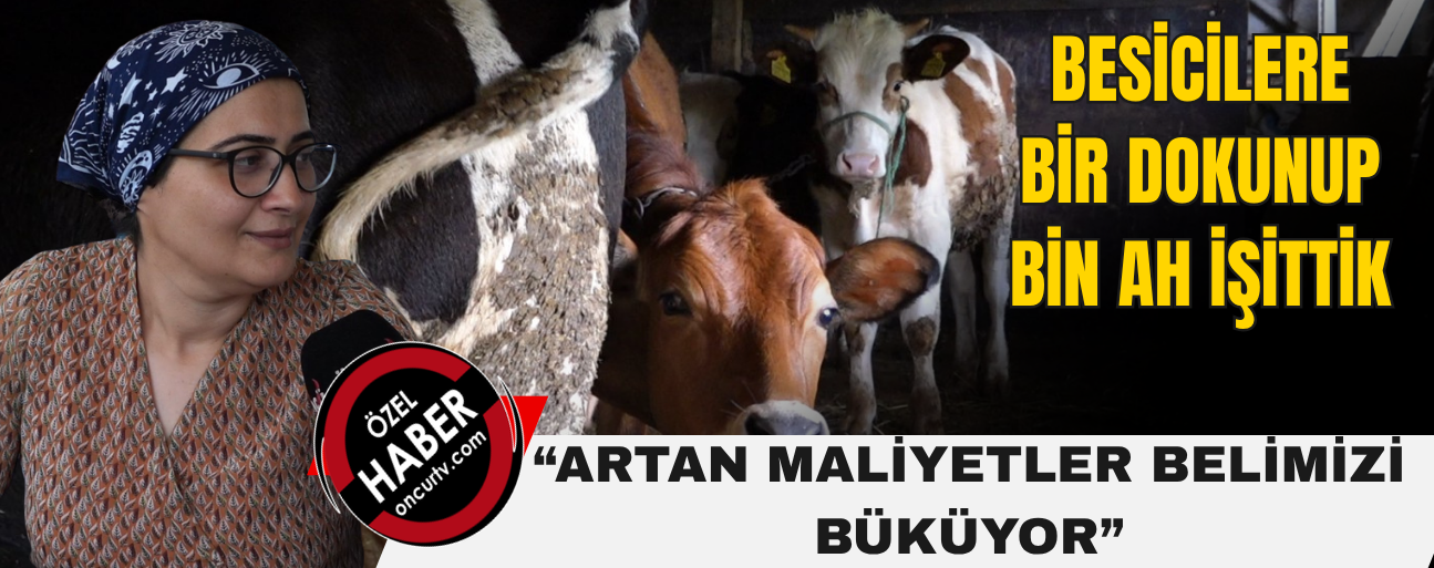 “DESTEK, HİBE ŞARTLARI YUMUŞATILMAZSA HAYVANCILIK ÖLECEK”