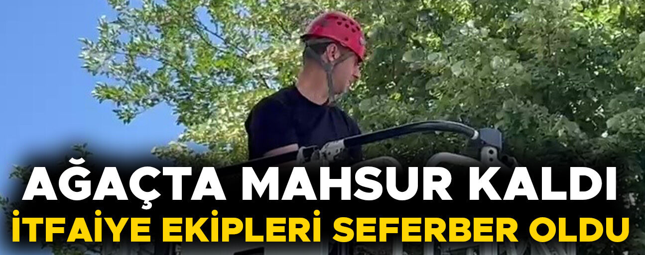 DÜZCE’DE KEDİ KURTARMA OPERASYONU