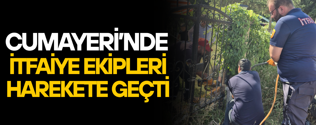 PARMAKLIKLARA SIKIŞAN KÖPEĞE KURTARMA OPERASYONU