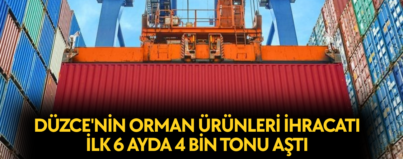 YILIN İLK YARISINDA İHRACAT SÜRERKEN, ORMAN ÜRÜNLERİNDE ARTIŞ HEDEFLENİYOR