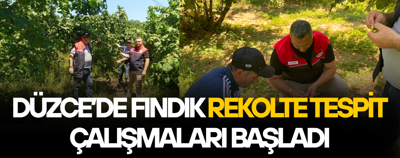 KAYNAŞLI İLÇESİNDE EKİPLER SAHAYA İNDİ