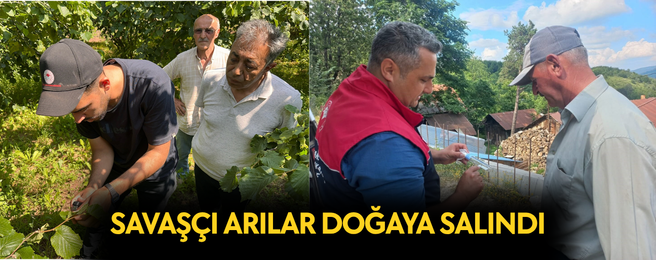KOKARCA ZARARLISININ KONTROL ALTINA ALINMASI HEDEFLENİYOR