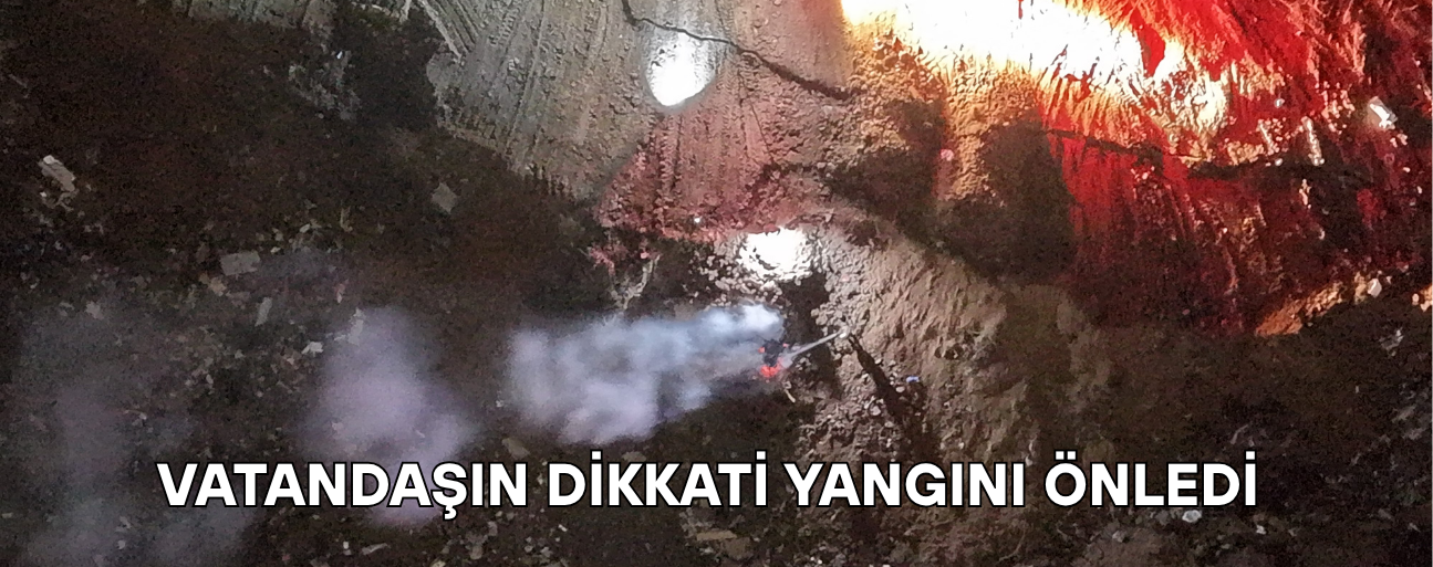 ALEVLER BÜYÜMEDEN SÖNDÜRÜLDÜ