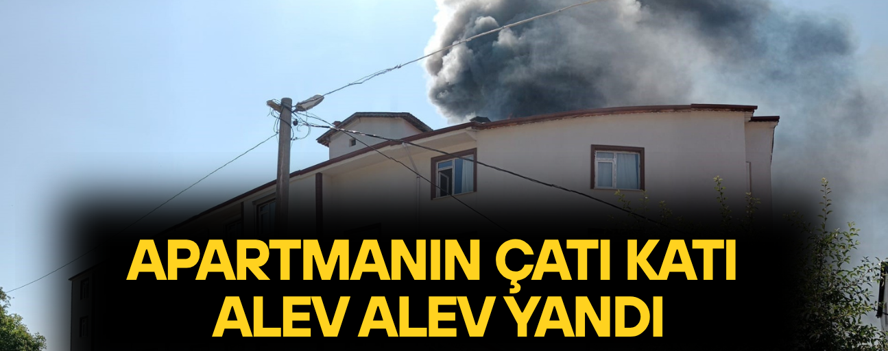 YANGIN UZUN UĞRAŞLAR NETİCESİNDE SÖNDÜRÜLDÜ