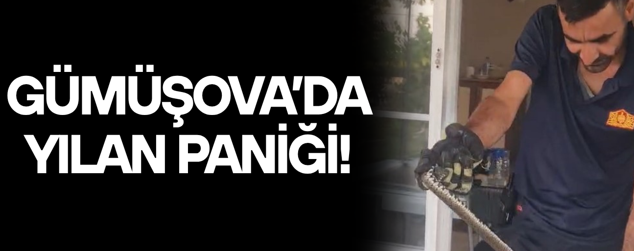 EVE GİREN YILAN İTFAİYE EKİPLERİNCE YAKALANDI