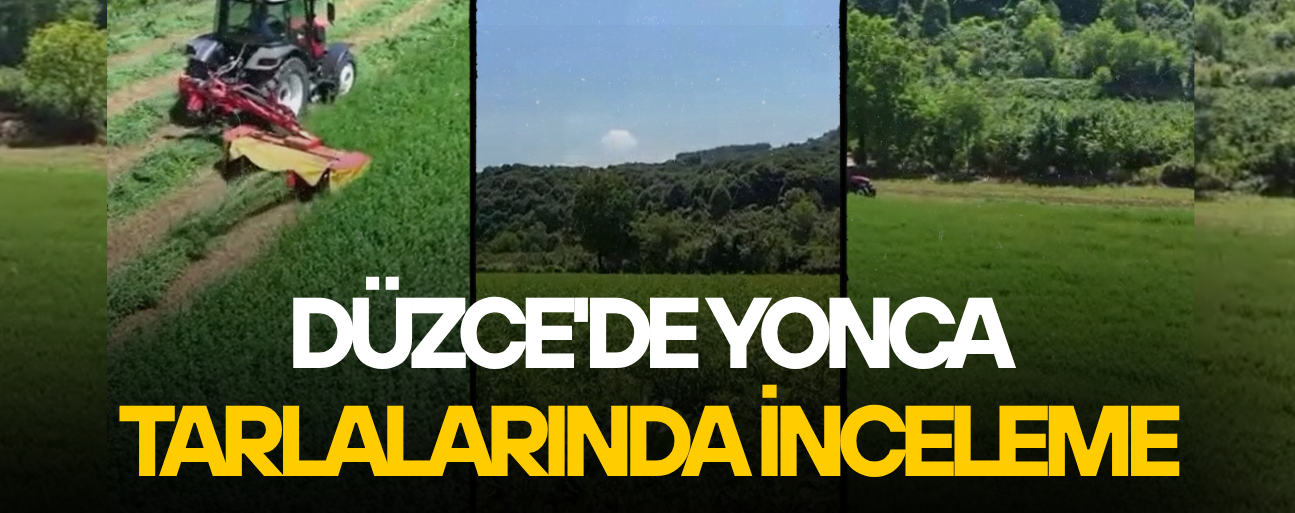 KALİTELİ KABA YEM İÇİN YONCA ÜRETİMİNE DESTEK