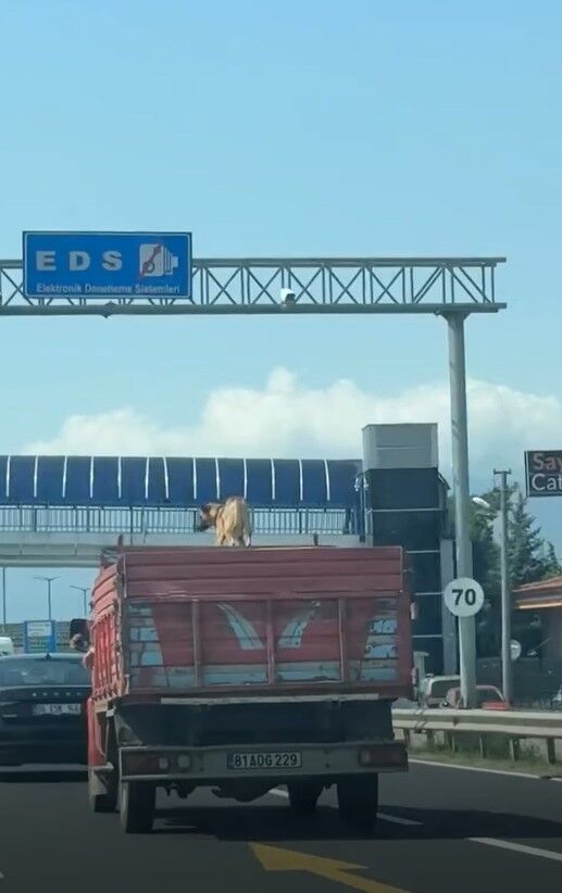 2026 08 15 132851