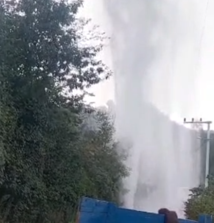 3-1081