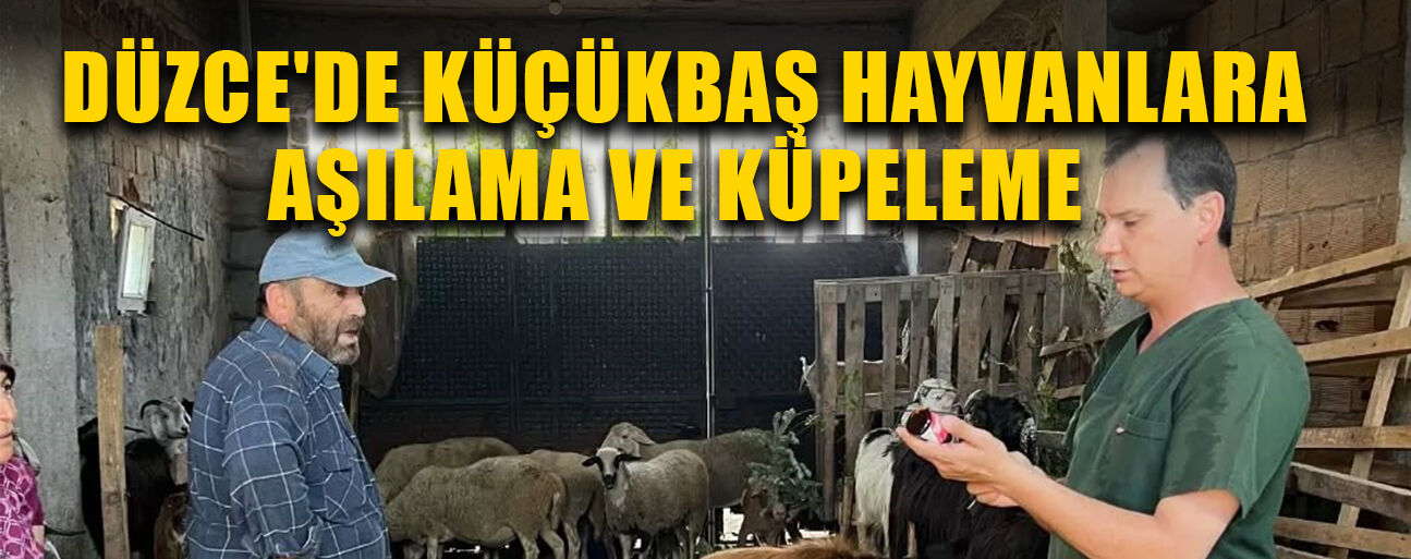 ÇALIŞMALARLA HAYVAN HASTALIKLARI ÖNLENİYOR