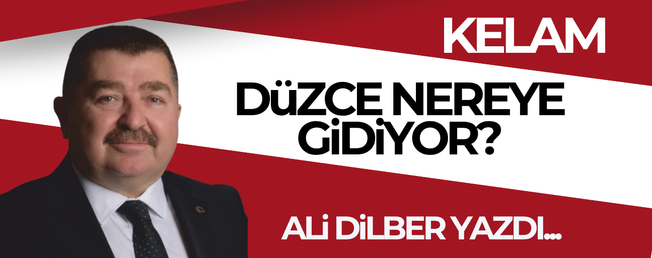 DÜZCE NEREYE GİDİYOR?