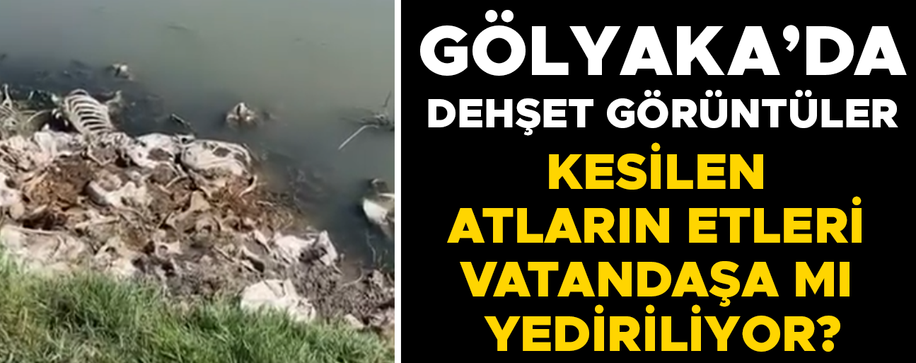 AT KEMİKLERİNİ DERE YATAĞINA BIRAKTILAR