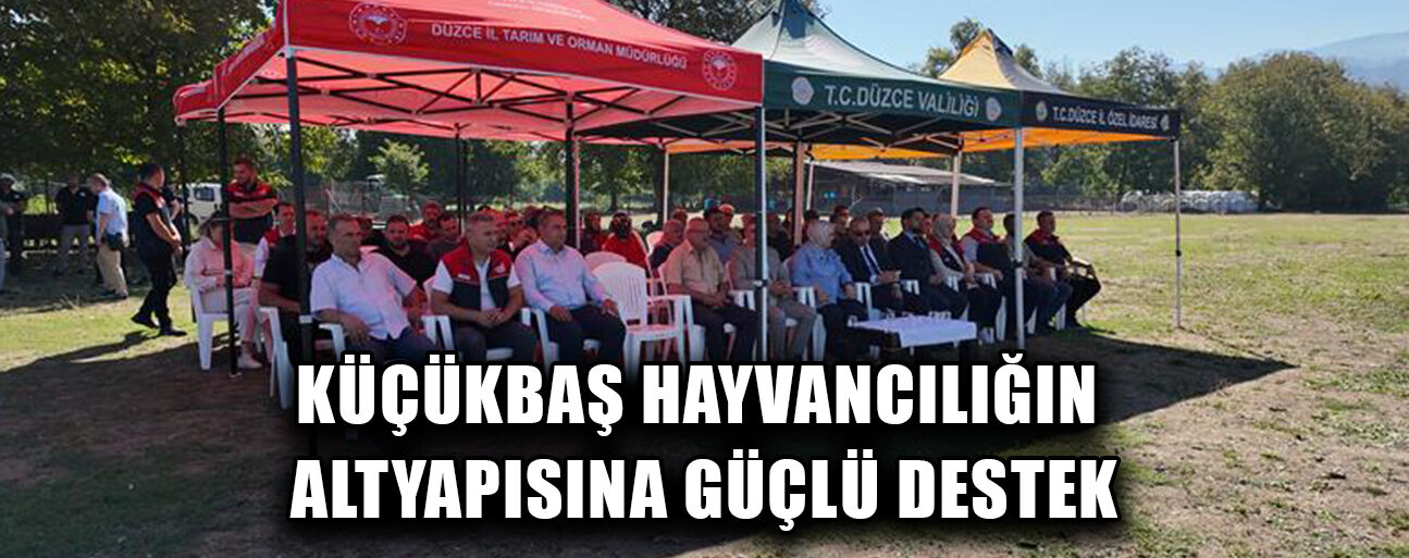 DÜZCE’DE YAKLAŞIK 20 BİN KÜÇÜKBAŞ HAYVAN BULUNUYOR