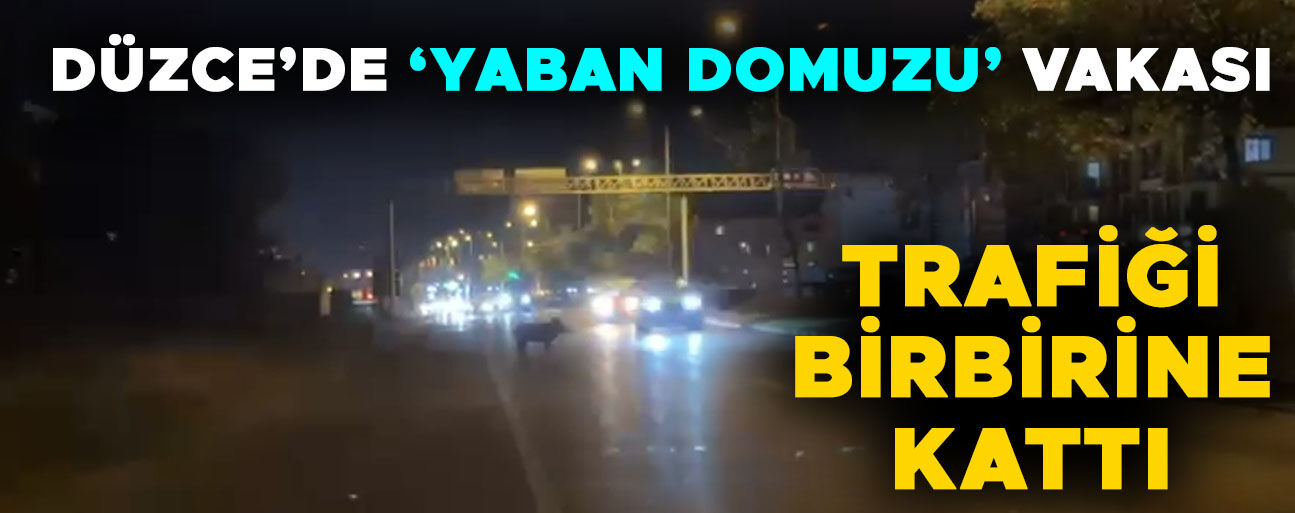 SÜRÜCÜLER BÜYÜK ŞAŞKINLIK YAŞADI