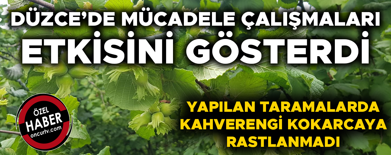 FINDIK ÜRETİCİLERİNE “ÜRÜNÜNÜZÜ ERKEN TOPLAMAYIN” UYARISI