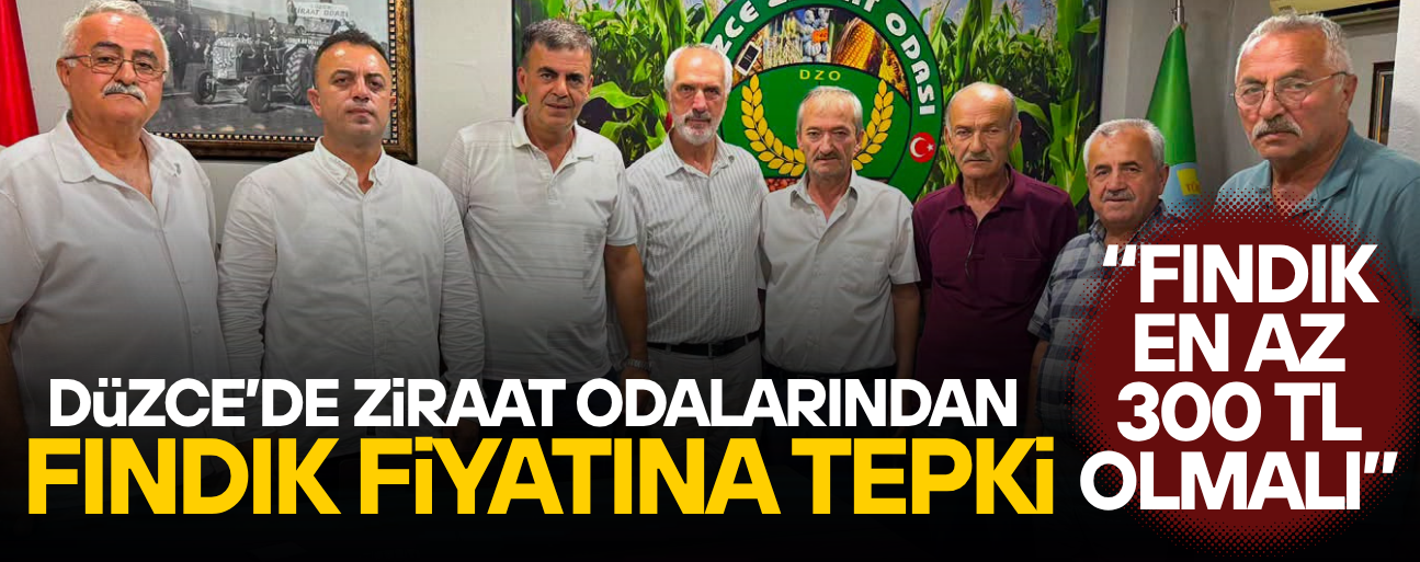 ZİRAAT ODALARI BAKANLIĞA SESLENDİ: FINDIK FİYATI YENİDEN DEĞERLENDİRİLSİN