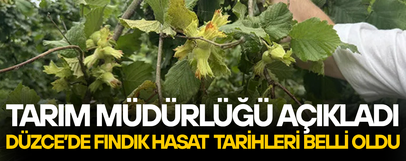 “ERKEN HASAT, RANDIMAN VE KALİTE KAYBINA NEDEN OLUR”