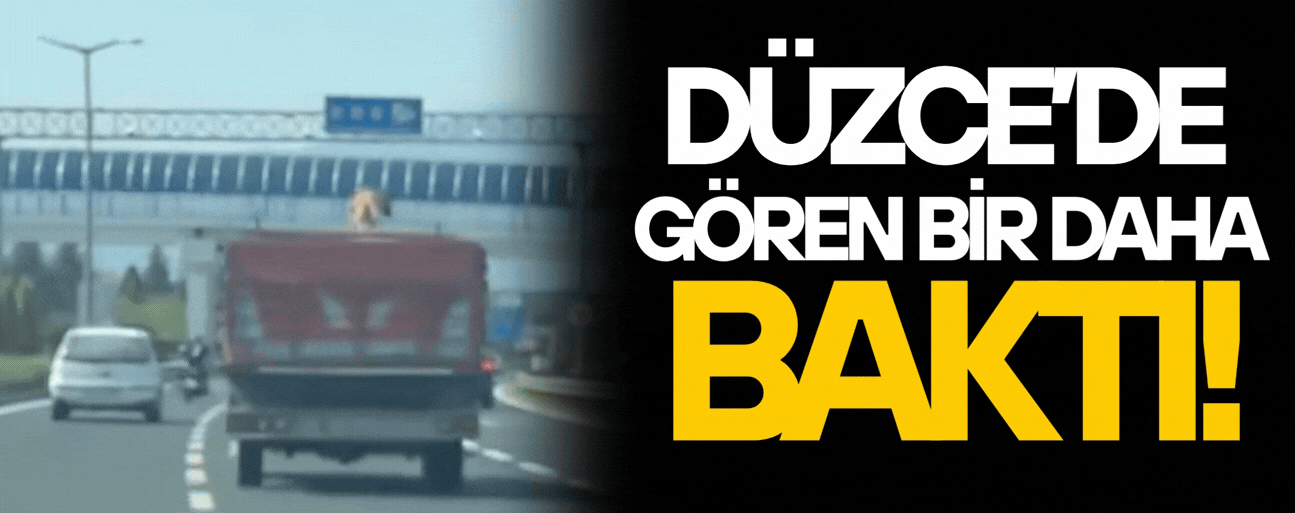KÖPEĞİN KAMYON KASASINDAKİ YOLCULUĞU KAMERADA