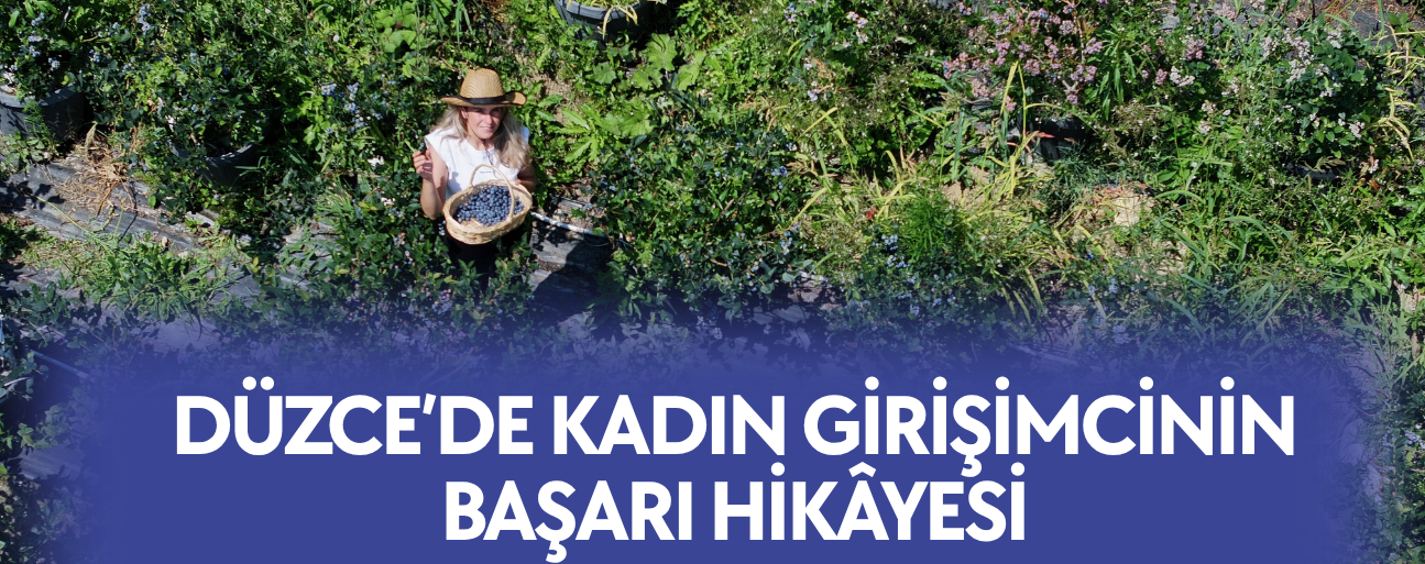 1300 FİDAN, 3 TON ÜRÜN
