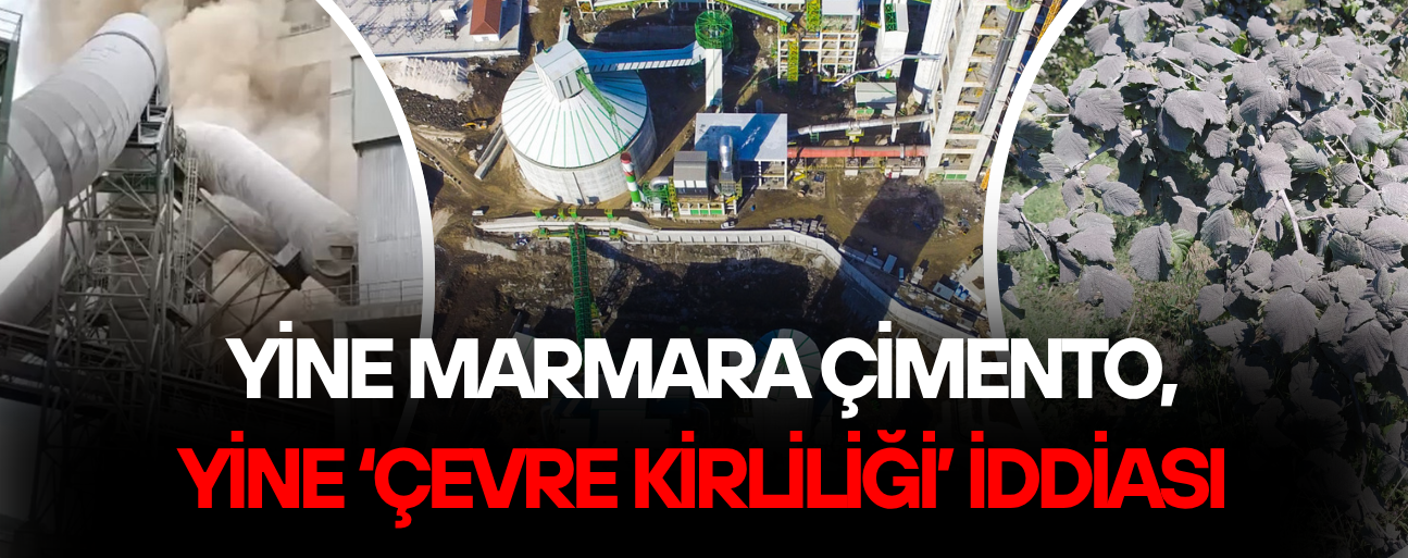 FABRİKA BACASINDAN SALINAN TOZLAR FINDIK BAHÇELERİNİ KAPLADI