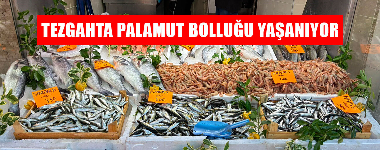 TANE FİYATI 80 TL İLE VATANDAŞIN İLGİSİNİ ÇEKİYOR