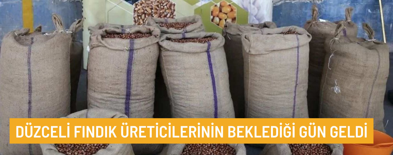 ALIMLAR BAŞLADI. YÜKSEK RANDIMANLI ÜRÜNLERE İLAVE ÖDEME YAPILACAK