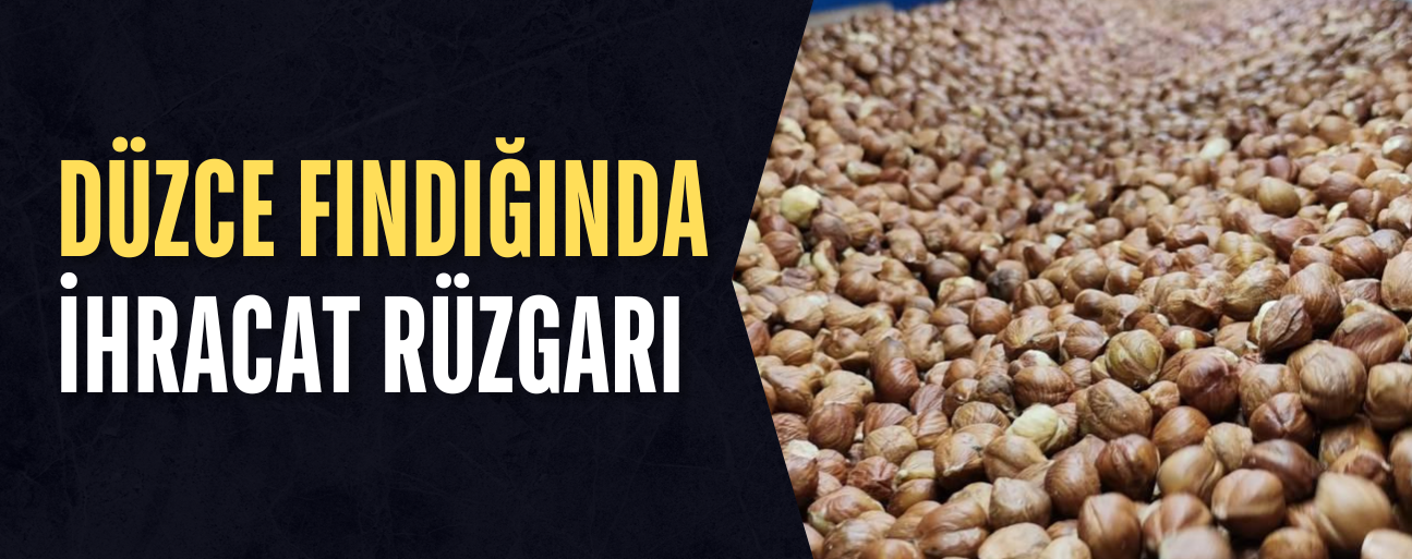 AB'YE 7 AYDA 6 BİN 674 TON ÎÇ FINDIK SATIŞI