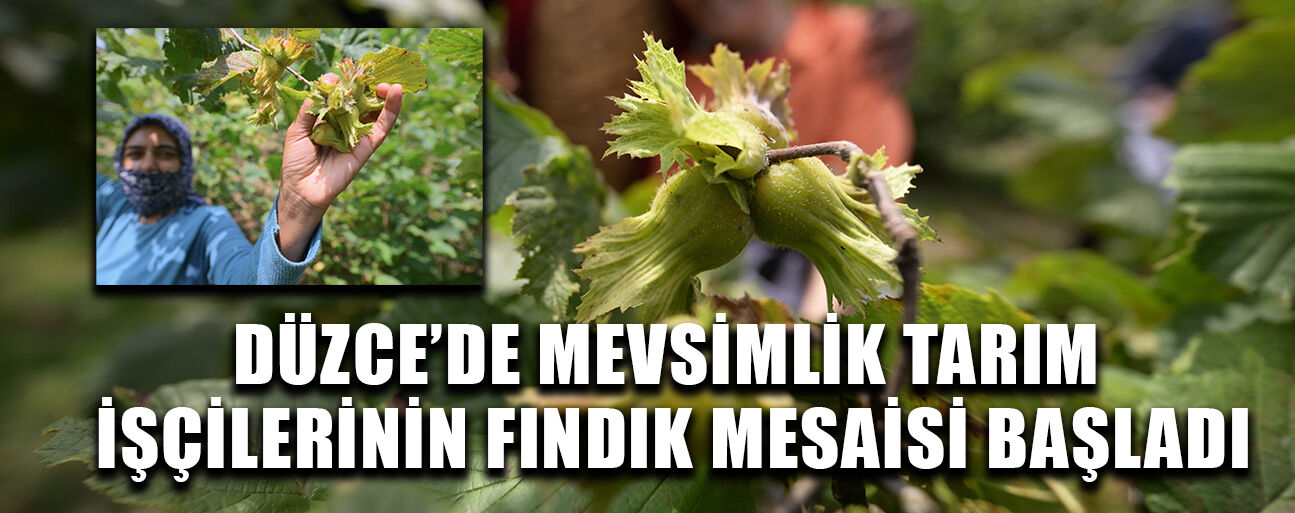 “GEÇİM DERDİ ZOR, ÇALIŞMAZSAK OLMAZ”