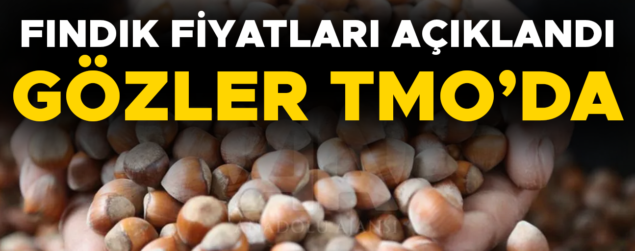 FINDIK ALIMI İÇİN O TARİHTEN İTİBAREN RANDEVU ALINABİLECEK